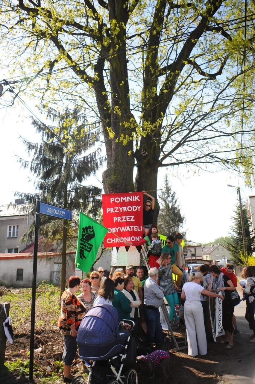 Kraków. Kolejny etap budowy Trasy Łagiewnickiej. Wycinają drzewa [WIZUALIZACJE, ZDJĘCIA]