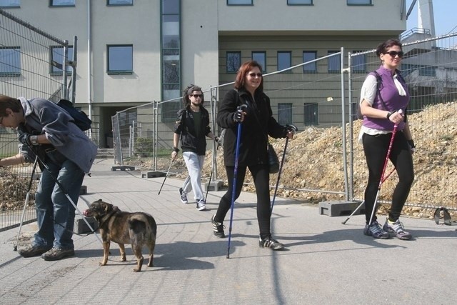 Gra miejska nordic walking w Chorzowie