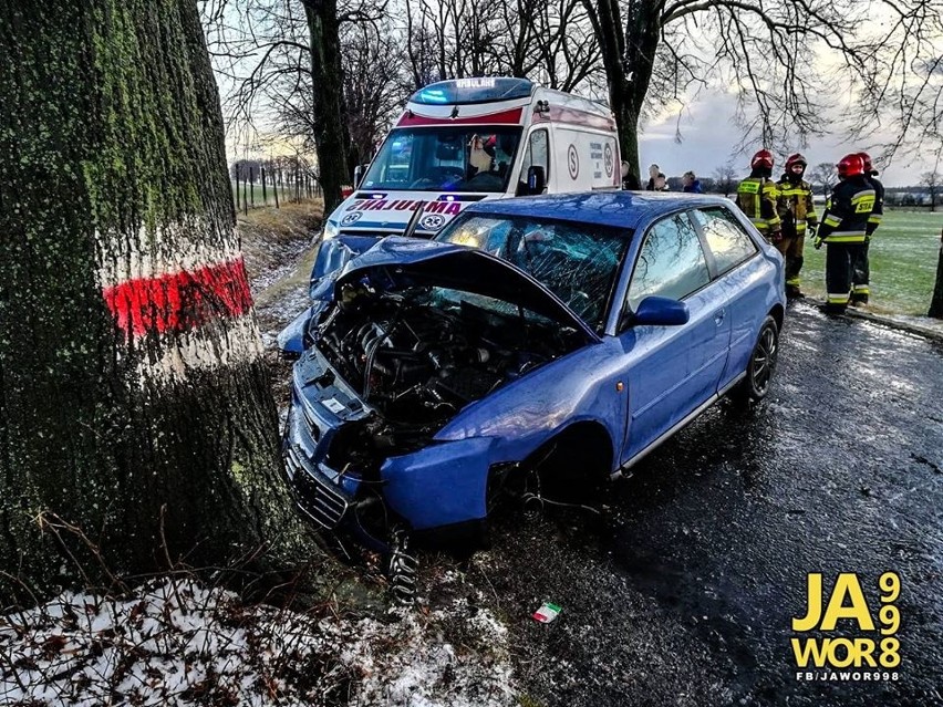 Audi rozbiło się na drzewie. Jedna osoba ranna