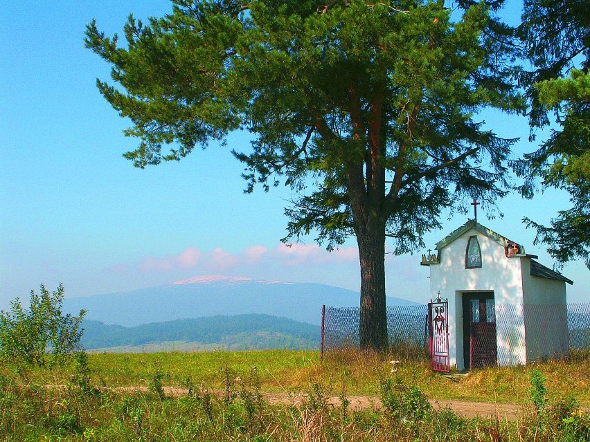 Jabłonka, Lipnica Wielka (4,5 km) Kiczory (12 km) Zubrzyca...