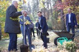 Najmłodszy i najmniejszy Ogród Botaniczny w Polsce ma już 15 lat! To jedno z ulubionych miejsc spacerowych w Zielonej Górze