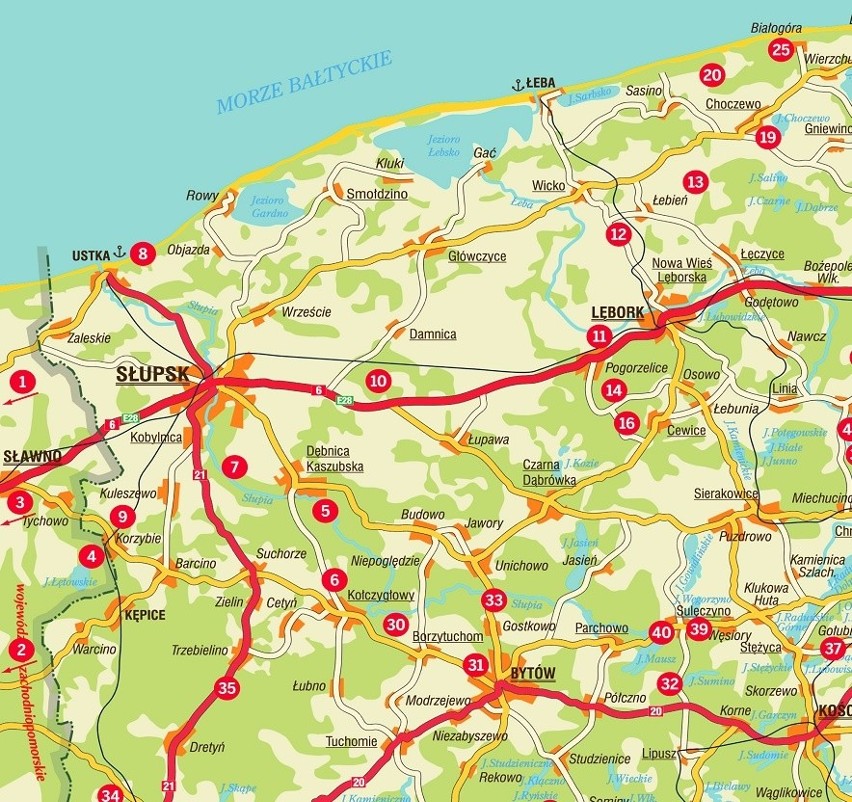 GRZYBY 2020 MAPA. Gdzie są grzyby w lasach woj. pomorskiego?