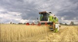 Dopłaty dla rolników w Łódzkiem w tym roku wcześniej