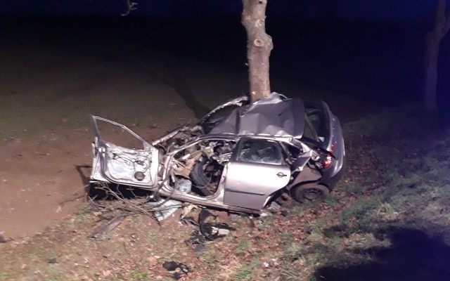 Do kolejnego tragicznego wypadku doszło w sobotę po południu w powiecie kościańskim. Zginął kierowca samochodu.- Zgłoszenie o wypadku otrzymaliśmy o godzinie 15.03. Auto osobowe na granicy miejscowości Gierłachowo i Nowy Dwór, na drodze wojewódzkiej nr 308, wypadło z drogi i uderzyło w drzewo - informuje dyżurny wielkopolskich strażaków.Przejdź do kolejnego zdjęcia --->