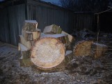 Kraków: wycięto zdrowe drzewa. Mieszkańcy oburzeni [LIST CZYTELNIKA]