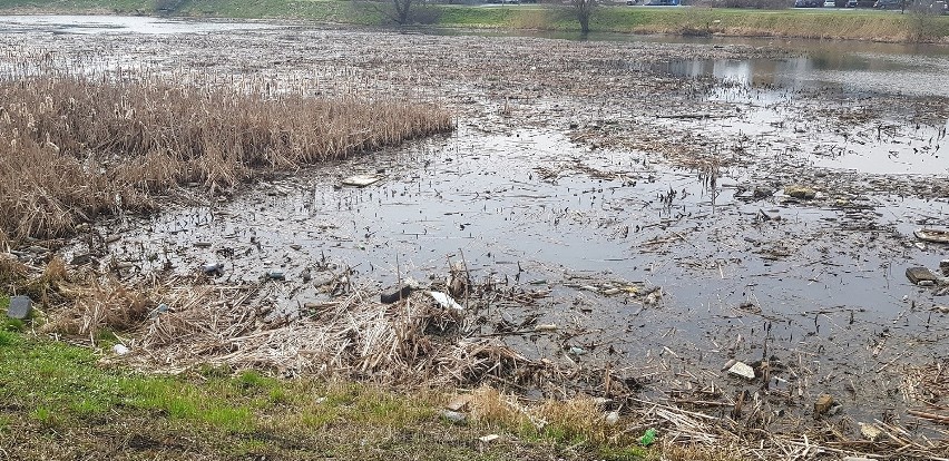 Jezioro Słoneczne tonie w śmieciach. Wody Polskie deklarują uprzątnięcie zbiornika
