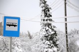 Tramwaje do Fordonu opóźnione, bo są oblodzone. Internauci nie są zaskoczeni