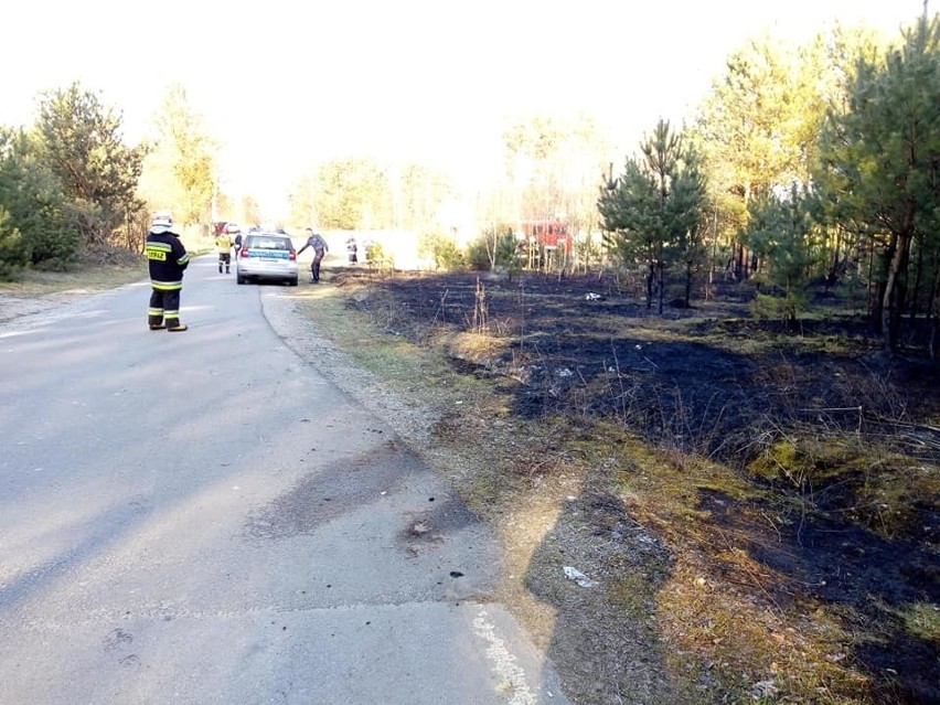 Pięć jednostek strażackich gasiło pożar na terenie gminy...