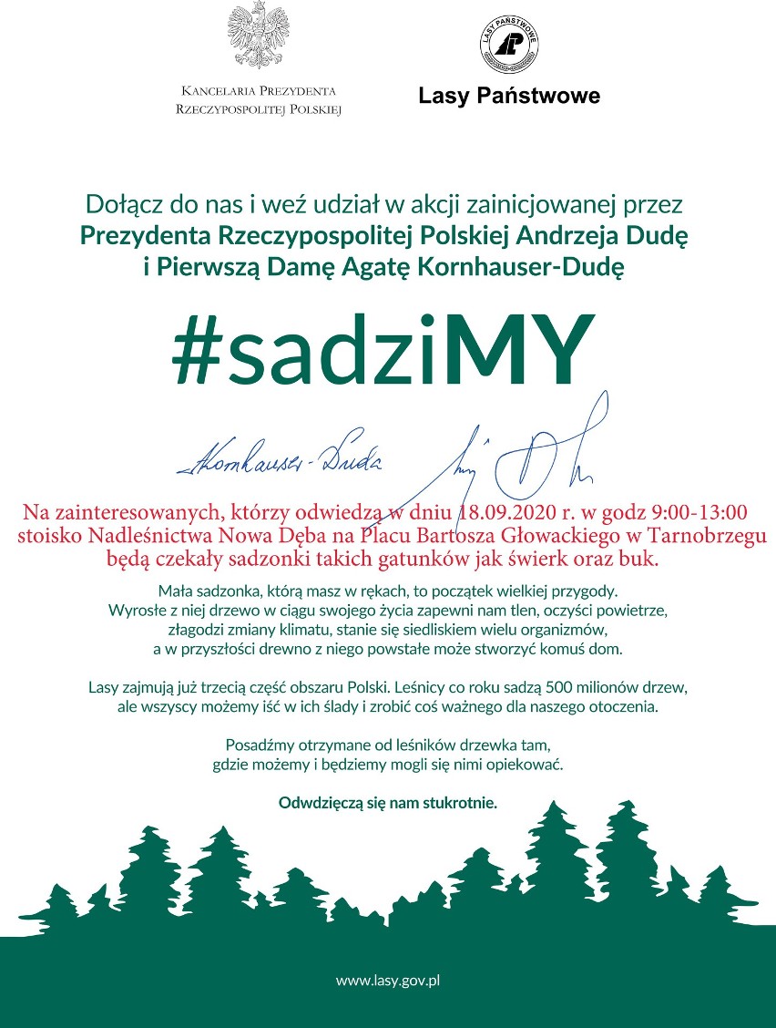 Leśnicy rozdadzą w Tarnobrzegu tysiąc sadzonek drzew w ramach akcji #SadziMY. Przyjdź w piątek na plac Bartosza Głowackiego