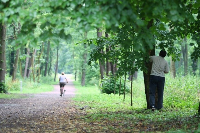 Park Zdrojowy powstał w XVIII wieku. Jest wpisany do rejestru zabytków.