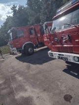 Niecodzienna interwencja strażaków. Pożar na cmentarzu w Trzcińcu