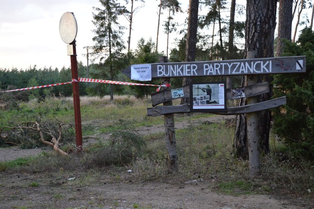 Do bunkra partyzanckiego nie dojedziemy, a ścieżka nadal jest zawalona konarami drzew, które zdmuchnęła wichura.