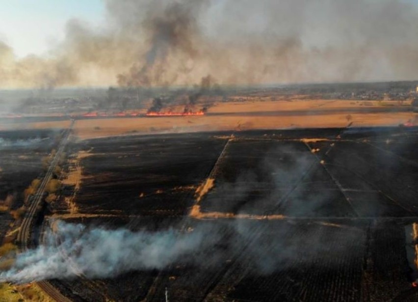 Pożar gasiło ok. 100 strażaków. Spaleniu uległo ok. 150 ha...