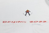 Pekin 2022. Skoki narciarskie NA ŻYWO. Kamil Stoch, Dawid Kubacki, Piotr Żyła i Stefan Hula powalczą o medale. Gdzie oglądać?