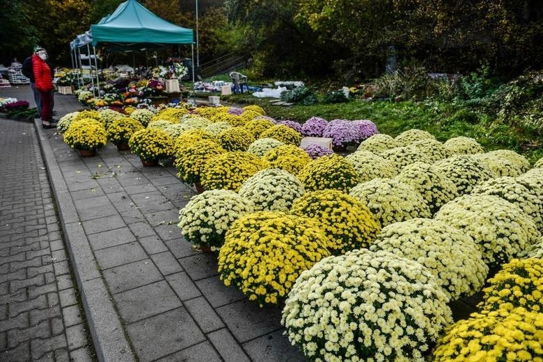 Ostrów Mazowiecka. Burmistrz zapowiedział odkupienie kwiatów od lokalnych producentów i sprzedawców. 31.10.2020