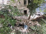 Przewrócone drzewo zburzyło mur na Chwaliszewie. Służby niezainteresowane sprawą?