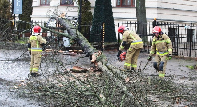 W związku ze skutkami silnych porywów wiatru strażacy mieli wiele interwencji