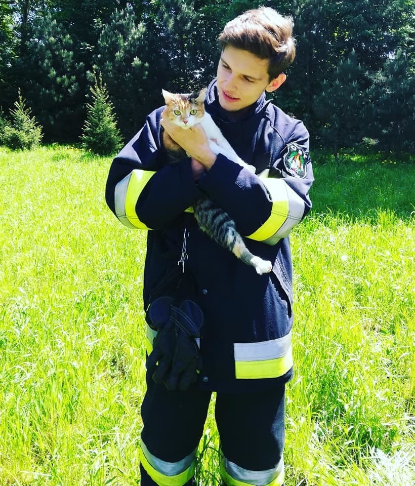 Zagórze. Strażacy ocalili kota, który dwa dni siedział na drzewie 