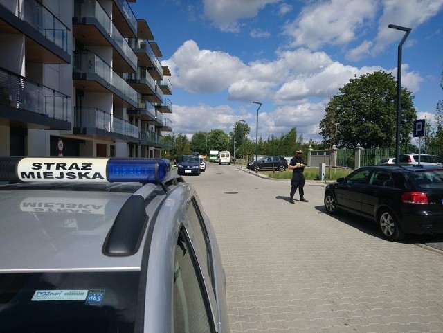 Strażnicy miejscy z Poznania kontrolują czy kierowcy parkują prawidłowo