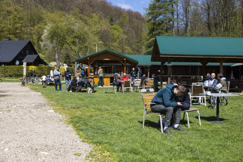 Tłumy na majówce w Dolinie Będkowskiej. Wielki piknik pod Sokolicą [ZDJĘCIA]