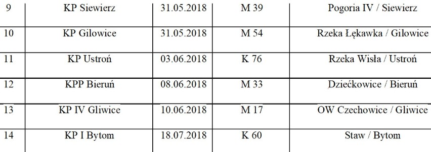 Od stycznia w woj. śląskim utonęło już 13 osób. Tam najczęściej dochodzi do tragedii LISTA MIEJSC. Statystyki są przerażające