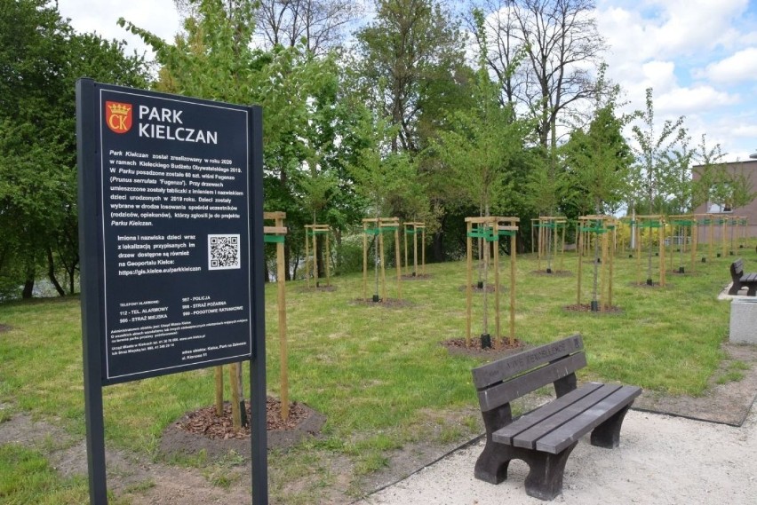 Nad zalewem powstał Park Kielczan. Każde drzewo upamiętnia jedno dziecko. To projekt zrealizowany z Budżetu Obywatelskiego [ZDJĘCIA]