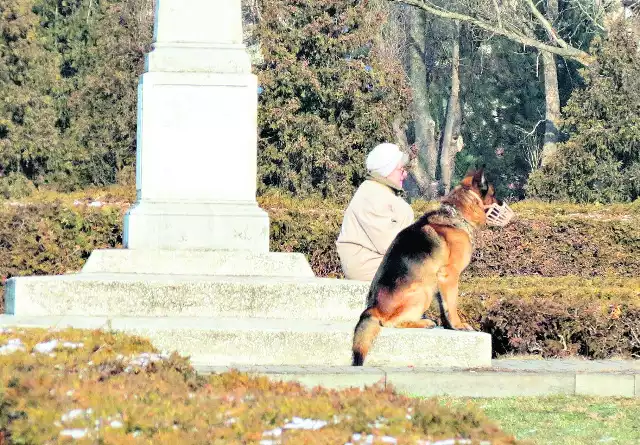 Na cmentarzu żołnierzy radzieckich psy czują się jak w parku