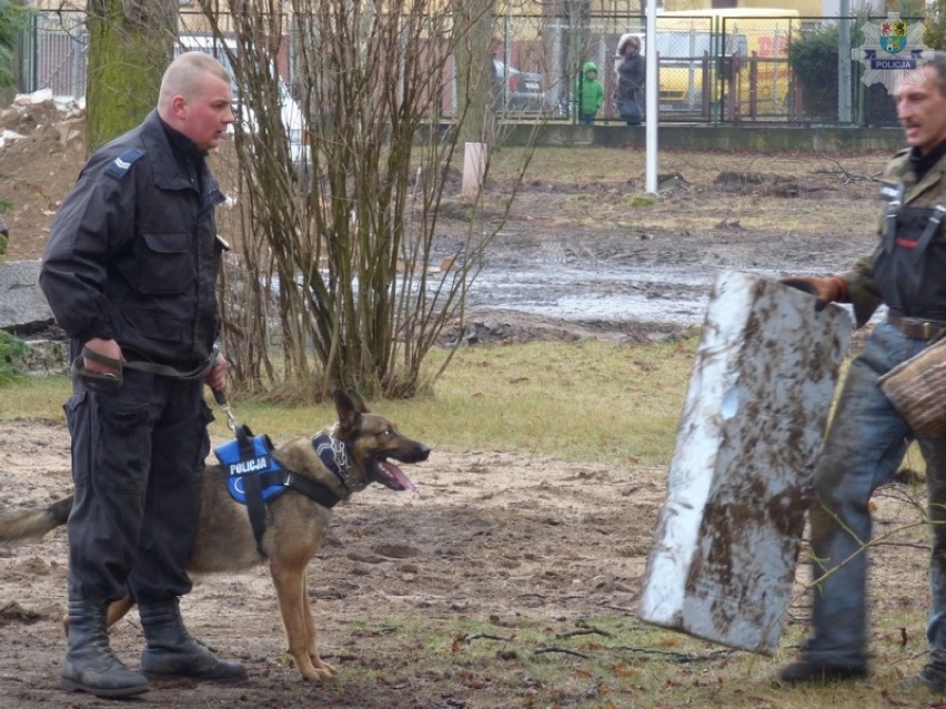 Lęborscy policjanci tresowali służbowe psy