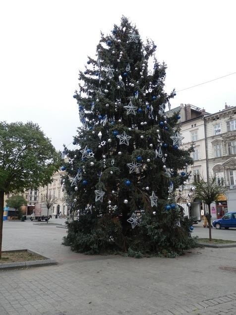 Kraków. Choinki Bożonarodzeniowe już stoją