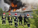 Kamieniec Wrocławski: Wielki pożar hali produkcyjnej (ZDJĘCIA i FILM)