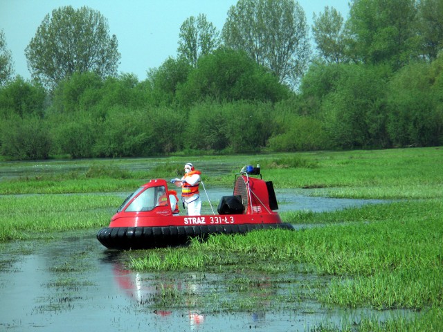 Martwe ptaki na Jeziorsku