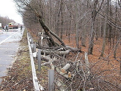 W Katowicach na Pszczyńskiej drzewo przewróciło się na tira [ZDJĘCIA]