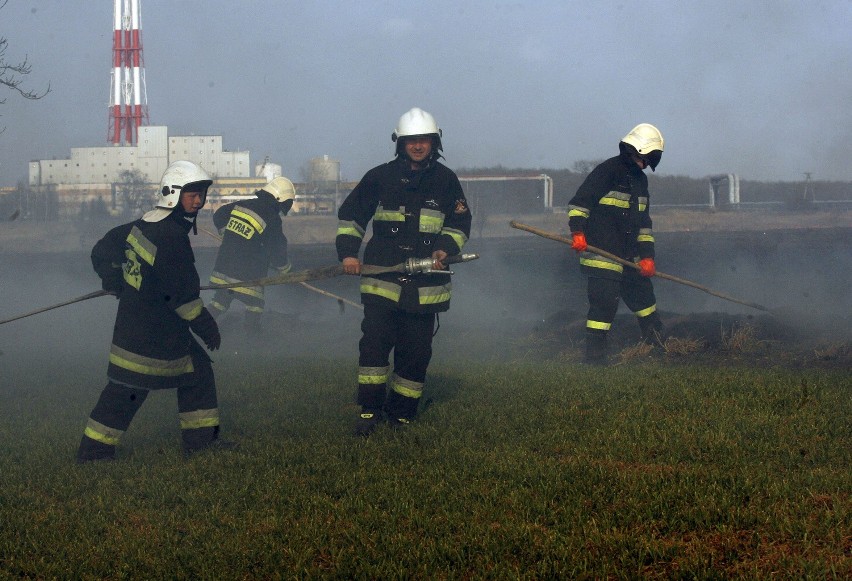 Zobacz, jak strażacy walczą z wypalaniem traw (ZOBACZ)