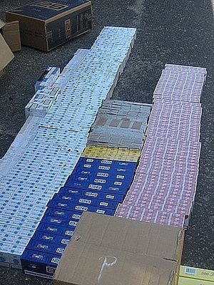 10 tysięcy paczek nielegalnych papierosów w Częstochowie [ZDJĘCIA]