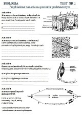 Matura 2012:  Zadania z biologii. Sprawdź, czy wiesz jak funkcjonuje ludzki organizm