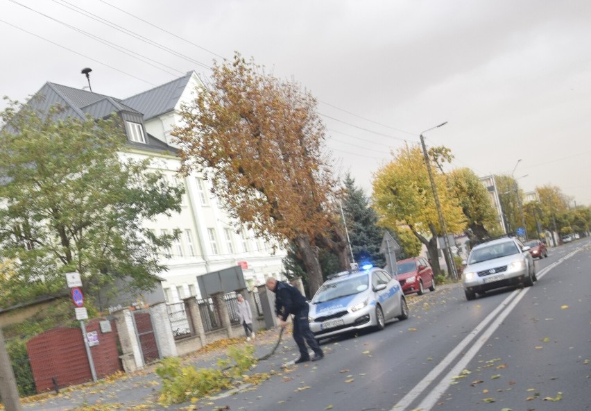 Wichura nad Zduńską Wolą i okolicą. Silny wiatr i...