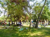 Poćwicz jogę w sopockim parku! Bezpłatne zajęcia w każdą niedzielę
