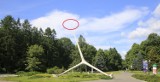 Rzeźba Żyrafy w Parku Śląskim bez głowy! Dlaczego? Co tam się wydarzyło?