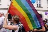 Ruch Palikota: Posłanka PiS przyznała, że w klubie PiS są homoseksualiści. Arent: To kłamstwo