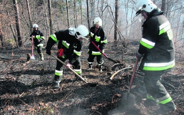 31 pożarów gasiła radomszczańska straż pożarna w weekend 16-18 marca