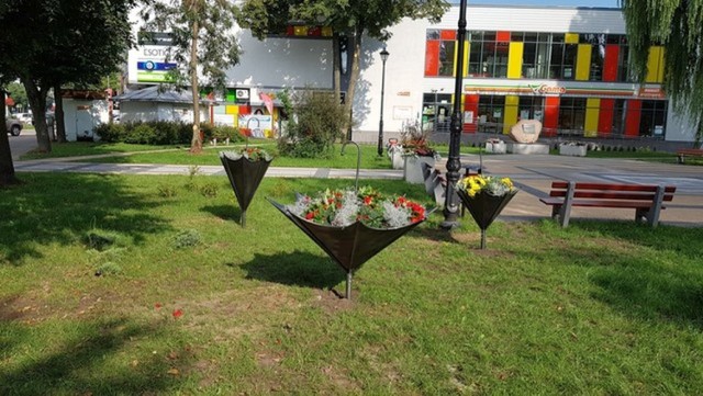 Donice w kształcie parasolek stanęły na skwerze w centrum Hajnówki