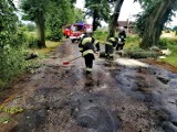 Burza nie wyrządziła zbyt wielkich szkód w powiecie kwidzyńskim. Strażacy wyjeżdżali do zalań oraz powalonych drzew
