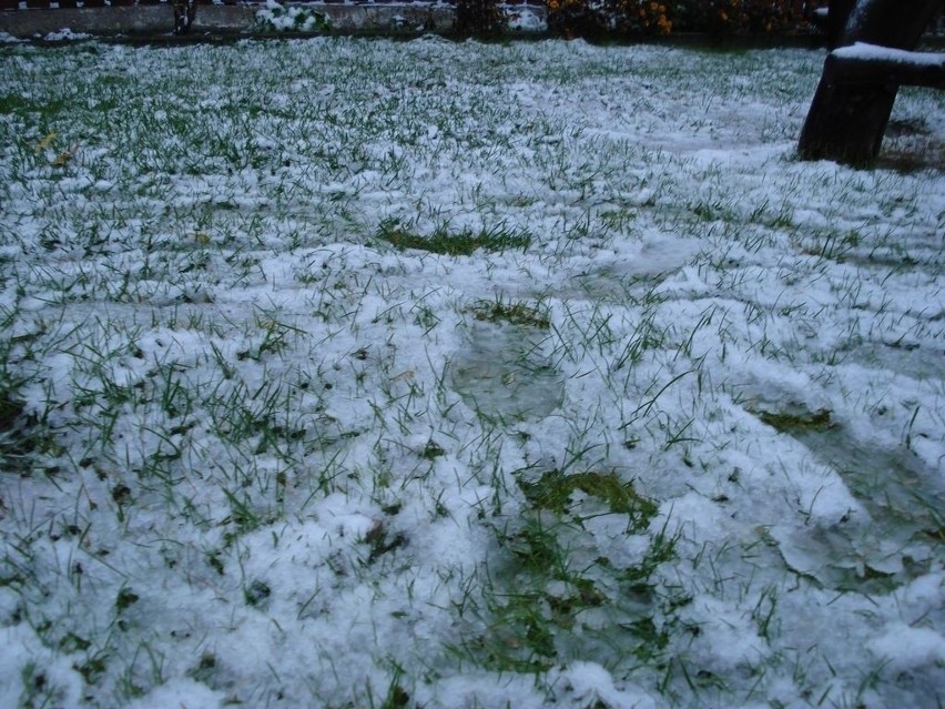 Pogoda na Lubelszczyźnie: Spadł śnieg. Stan dróg dobry