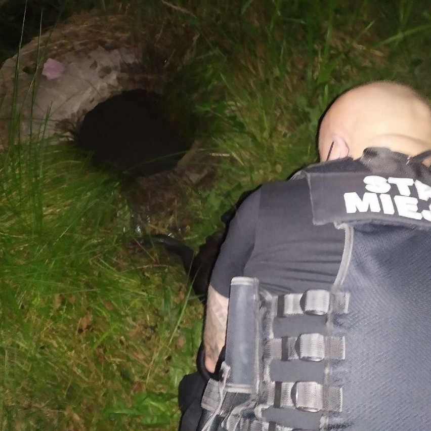 Strażnicy miejscy ze Starachowic uratowali tonącego psa. Błyskawiczna akcja nocna (ZDJĘCIA)