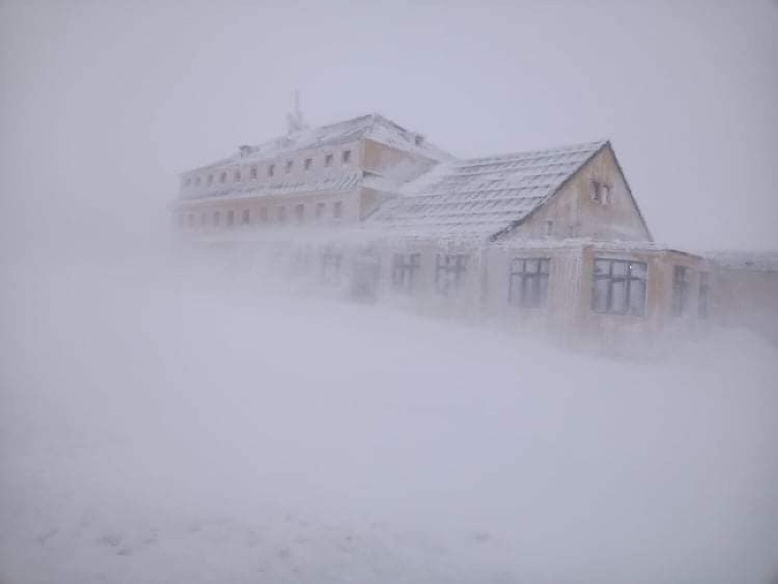 Jelenie w Terenie - Pędziwiatry weszli na Śnieżkę w szczytnym celu