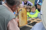 Nie tylko dla Kubusia Puchatka. Święto miodu w Świdniku. Zobacz fotorelację z pierwszego miejskiego miodobrania