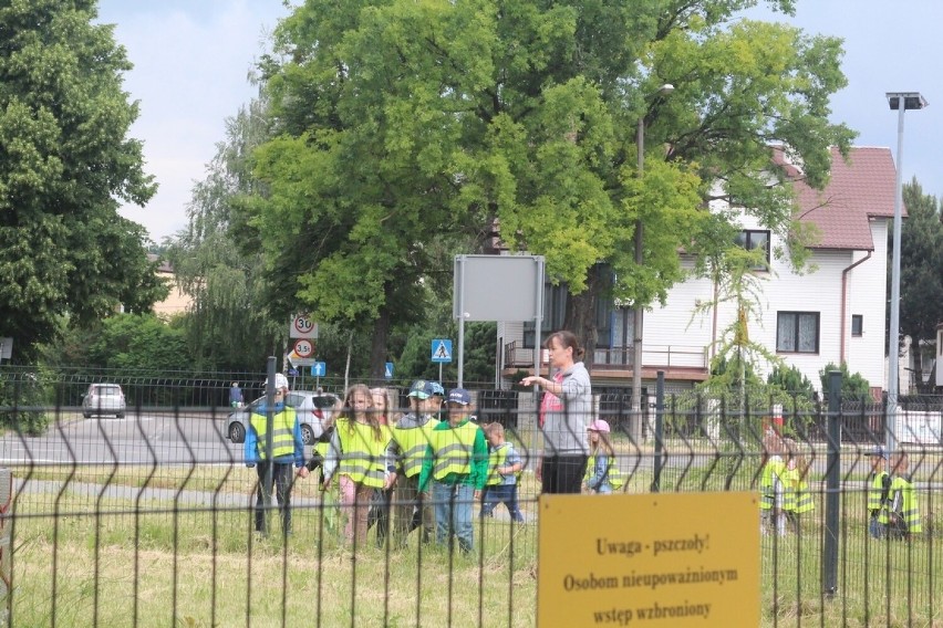 Nie tylko dla Kubusia Puchatka. Święto miodu w Świdniku. Zobacz fotorelację z pierwszego miejskiego miodobrania