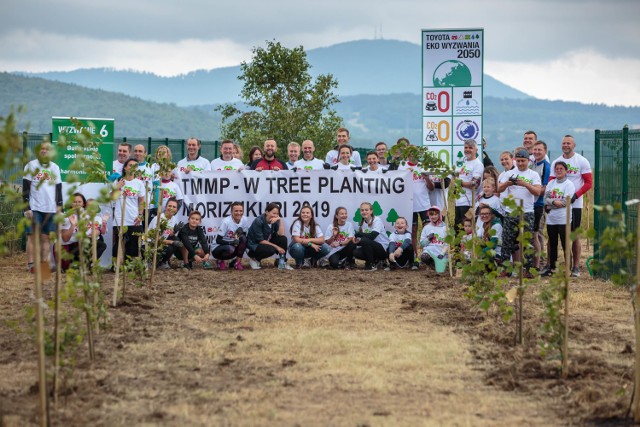 Wielkie sadzenie drzew na terenie fabryki przy ul. Uczniowskiej w Wałbrzychu, zorganizowano w ramach ogólnoświatowej akcji Toyoty zwanej Morizukuri, która oznacza „tworzenie lasu”