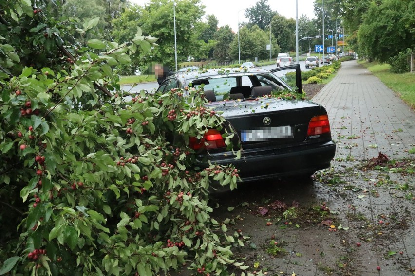 Wypadek na ulicy Witelona w Legnicy [ZDJĘCIA]