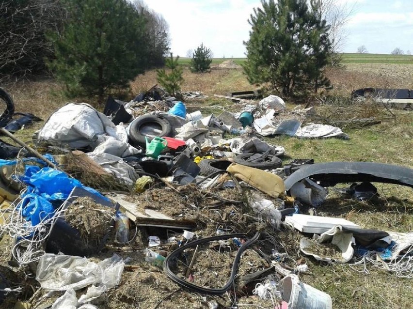 Dzikie wysypiska śmieci zostały zgłoszone w lesie niedaleko...